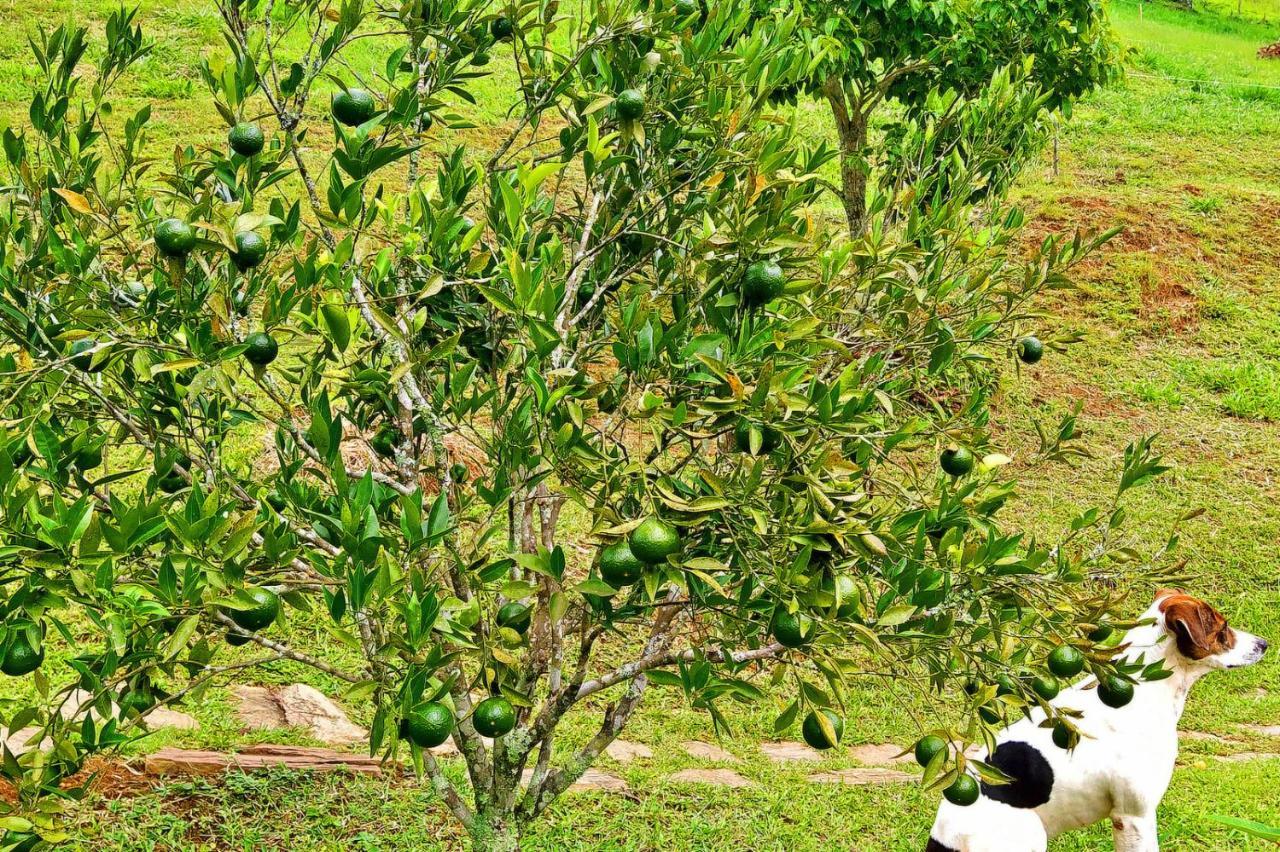 Villa Casa Da Montanha Sitio Gan Eden Visconde de Mauá Exterior foto